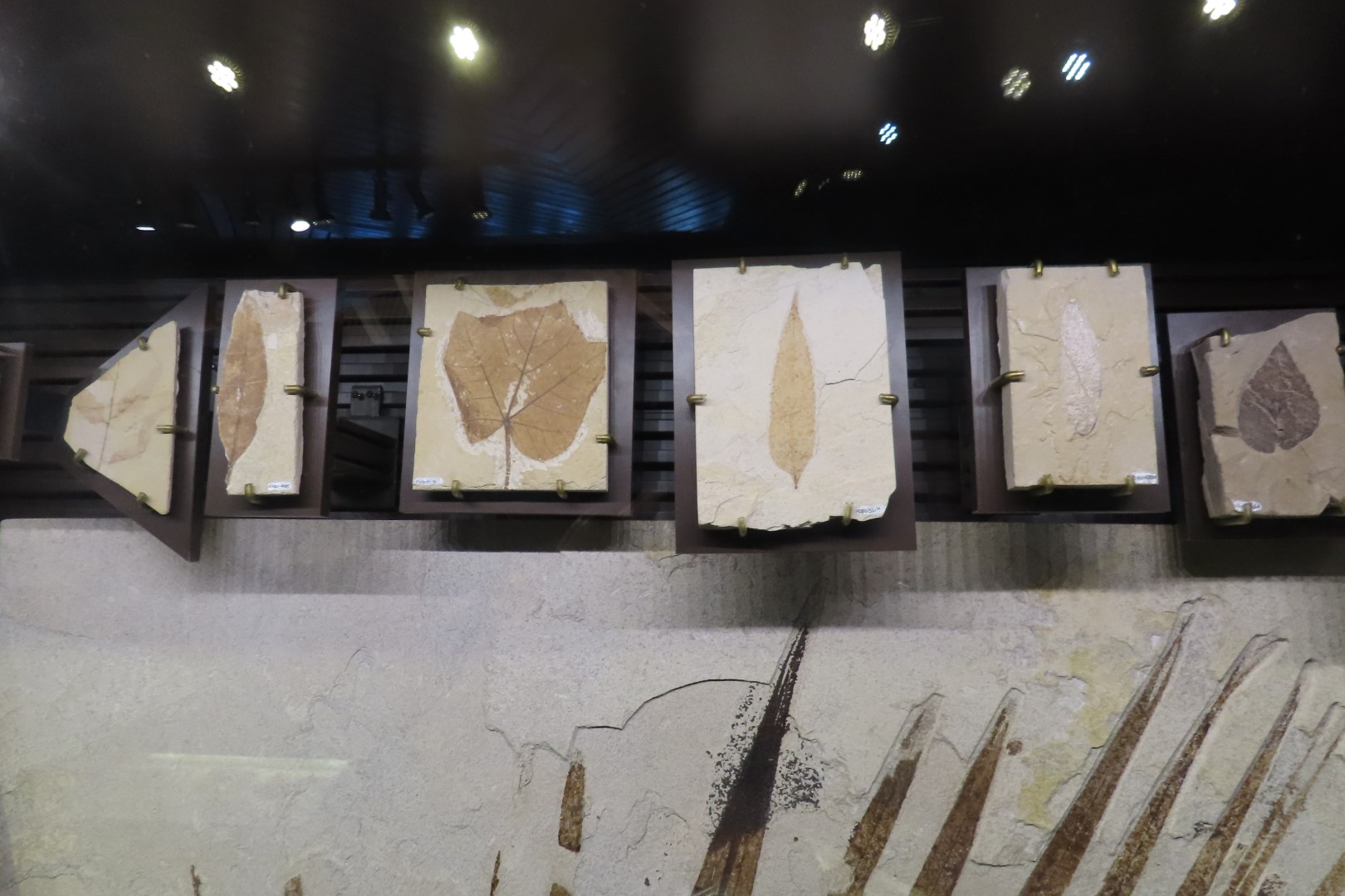 Fossil Butte National Monument 34 of 34 (#5403)