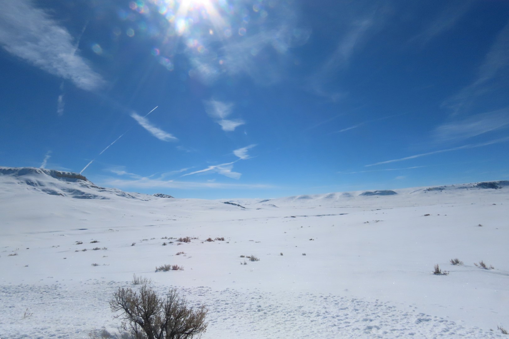 Fossil Butte National Monument  3 of 34 (#5404)
