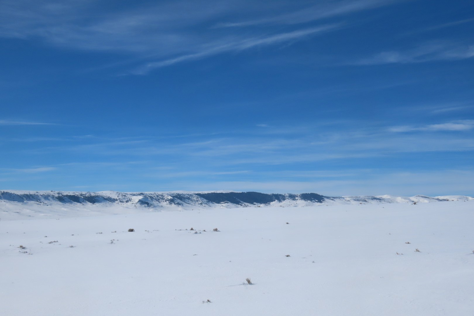 Fossil Butte National Monument  5 of 34 (#5406)