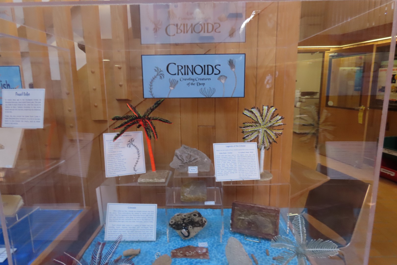  Tate Museum at Casper College in Casper  6 of 42 (#5419)