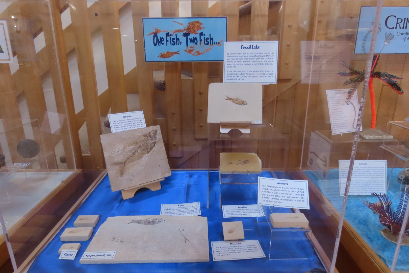  Tate Museum at Casper College in Casper  7 of 42 (#5420)