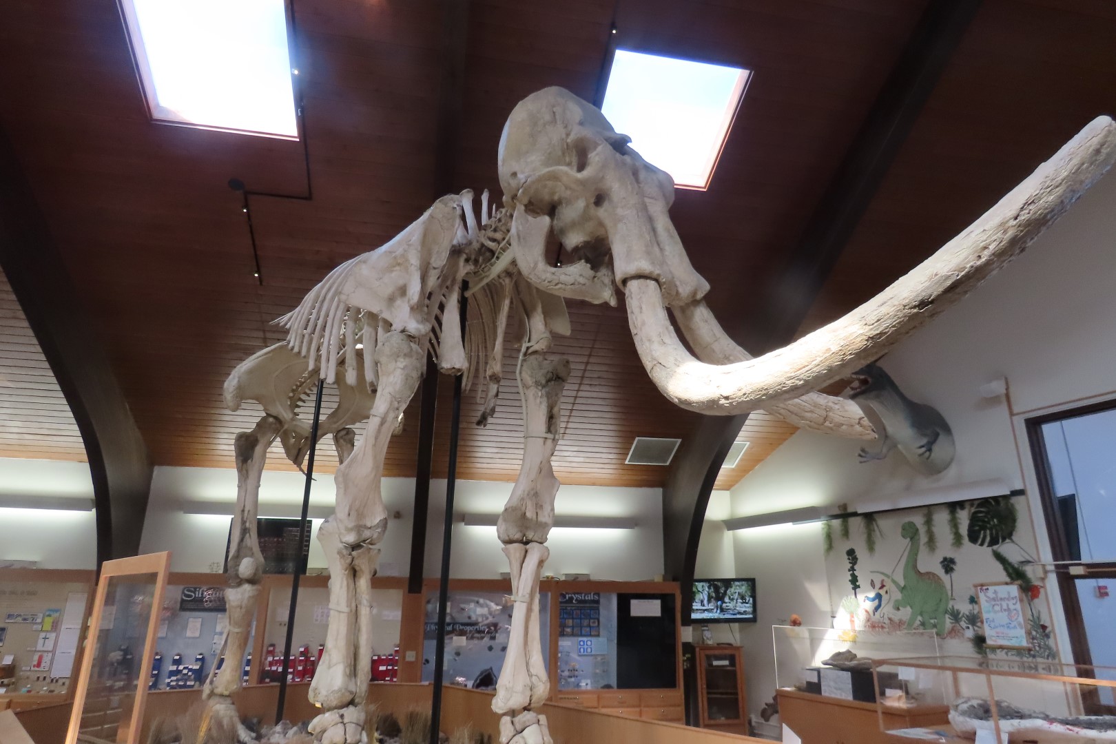  Tate Museum at Casper College in Casper 11 of 42 (#5424)