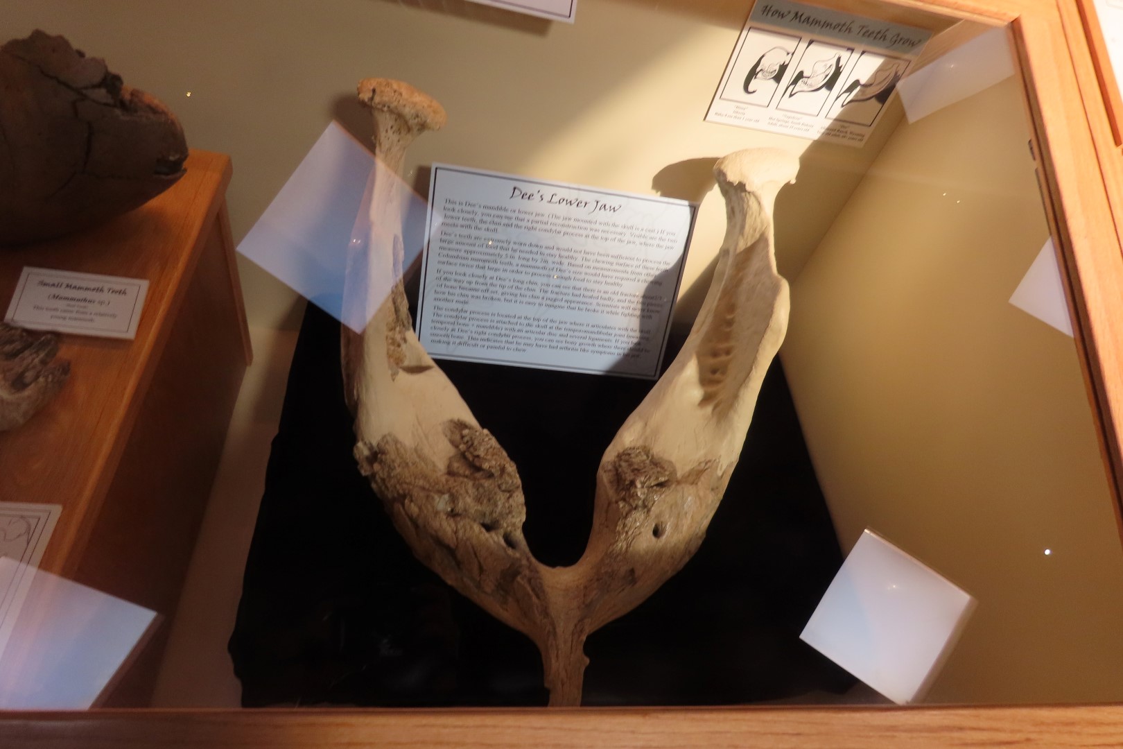  Tate Museum at Casper College in Casper 12 of 42 (#5425)