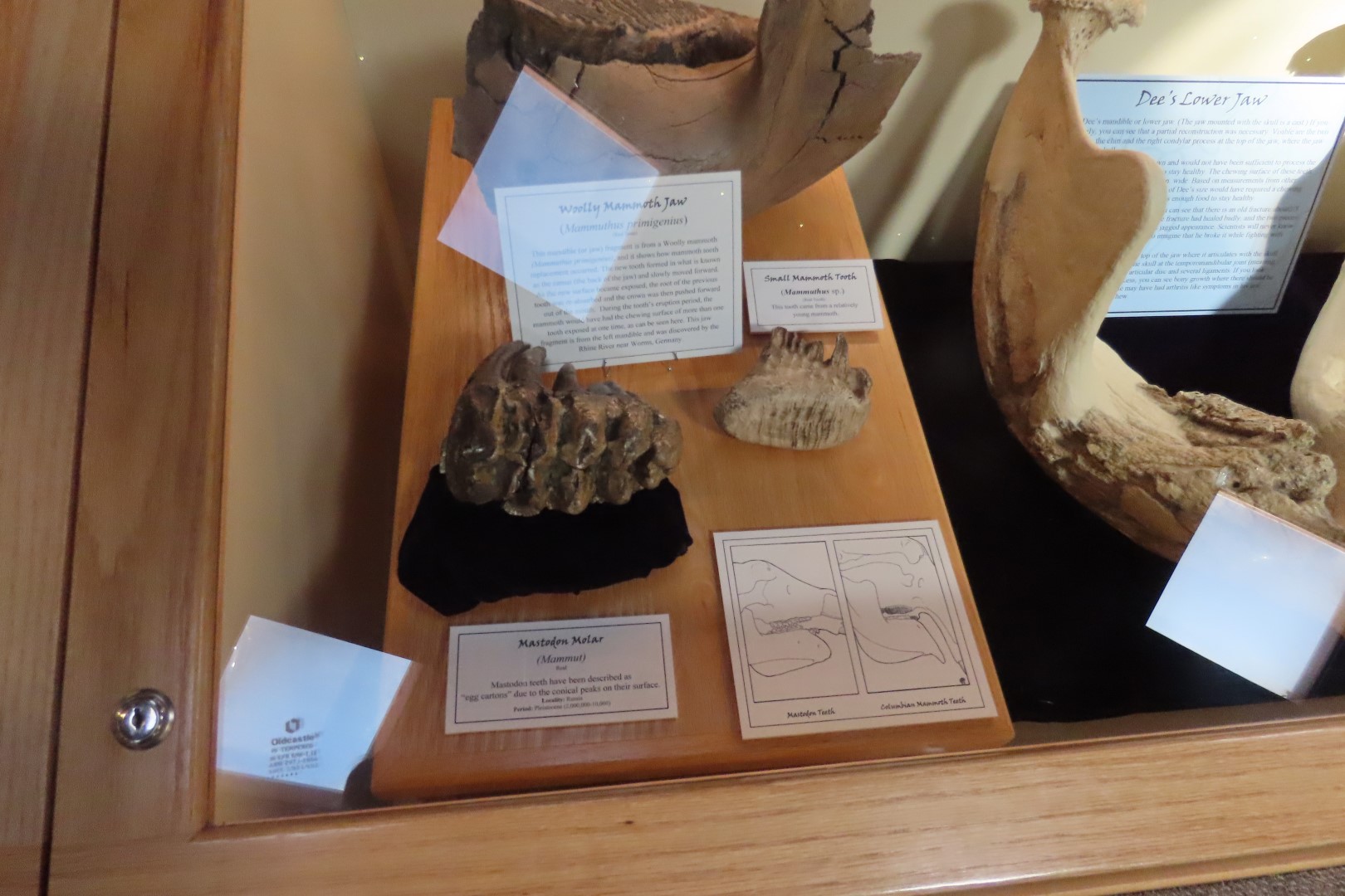  Tate Museum at Casper College in Casper 13 of 42 (#5426)