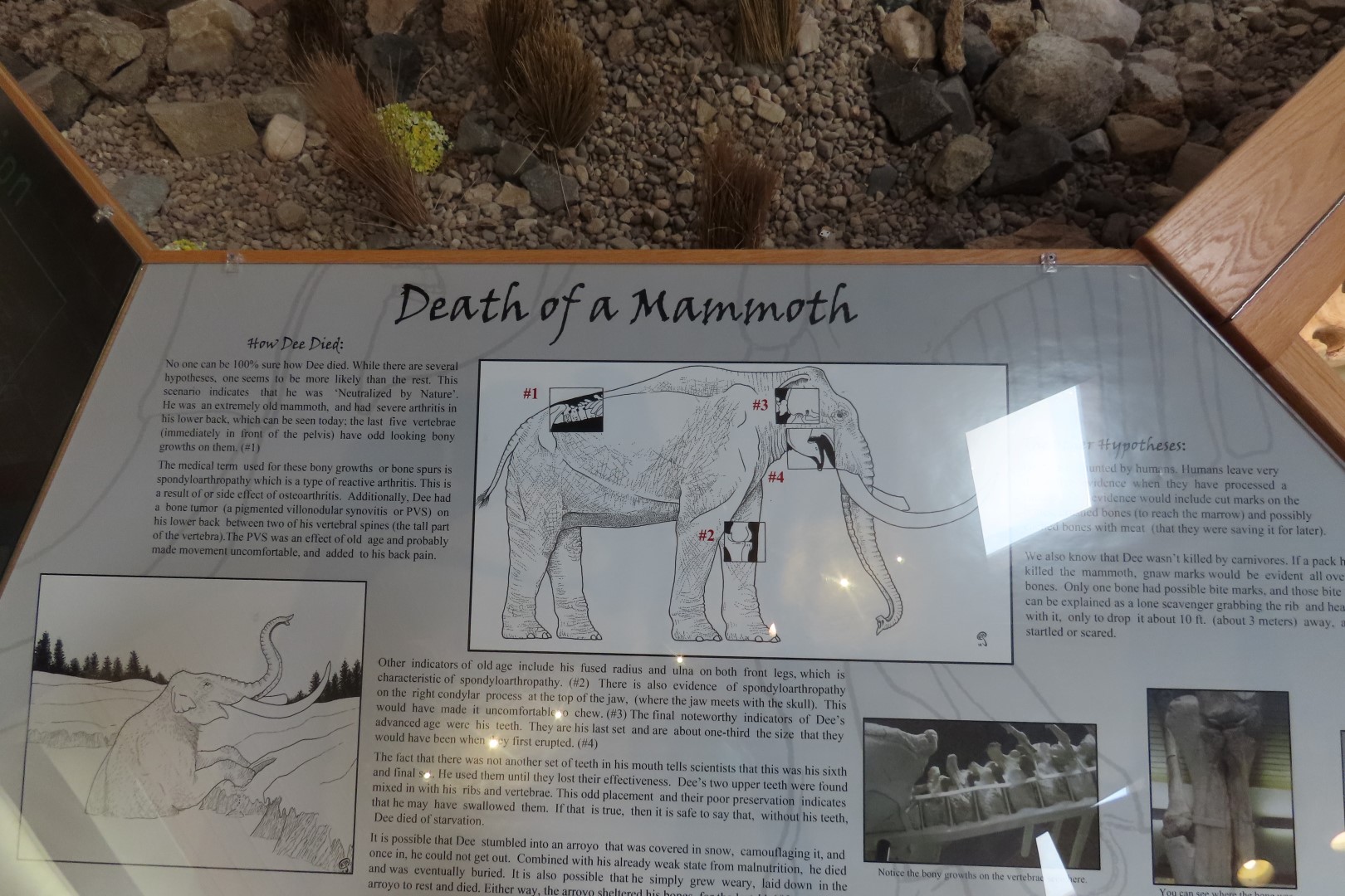  Tate Museum at Casper College in Casper 14 of 42 (#5427)