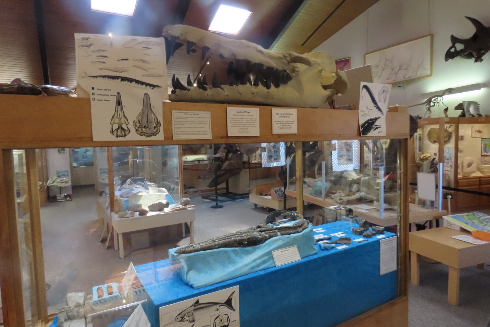  Tate Museum at Casper College in Casper 18 of 42 (#5431)