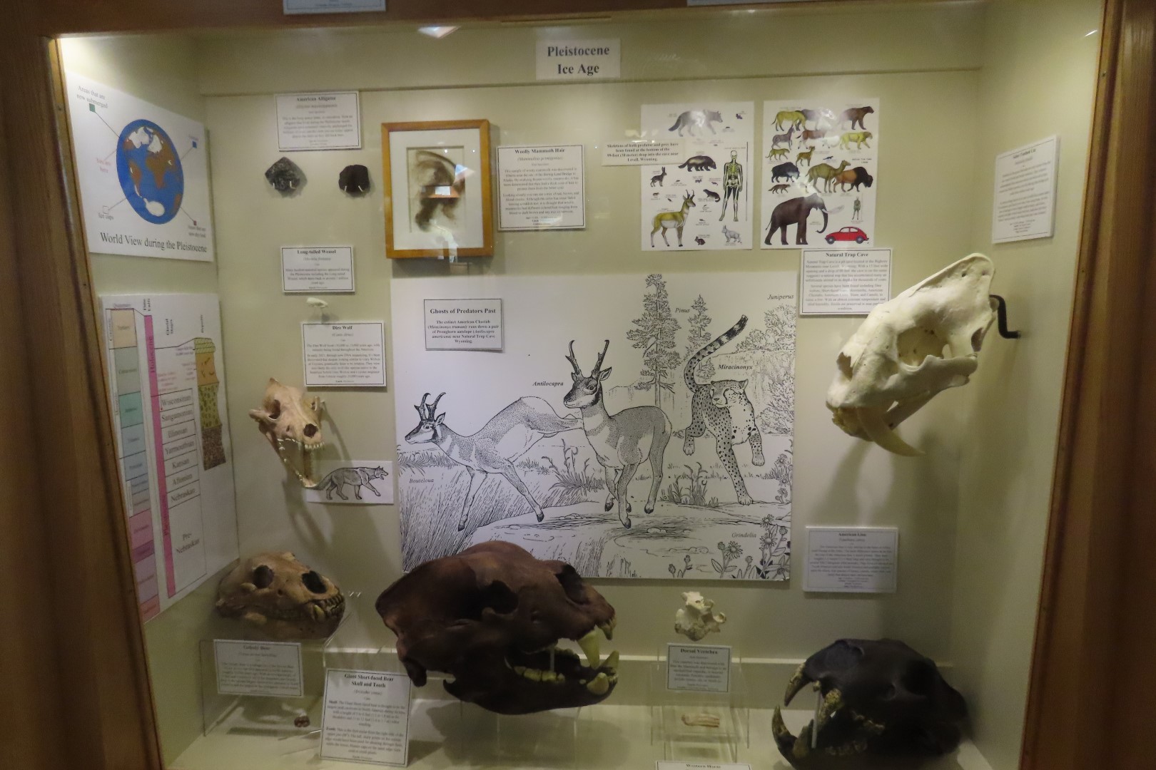  Tate Museum at Casper College in Casper 21 of 42 (#5434)