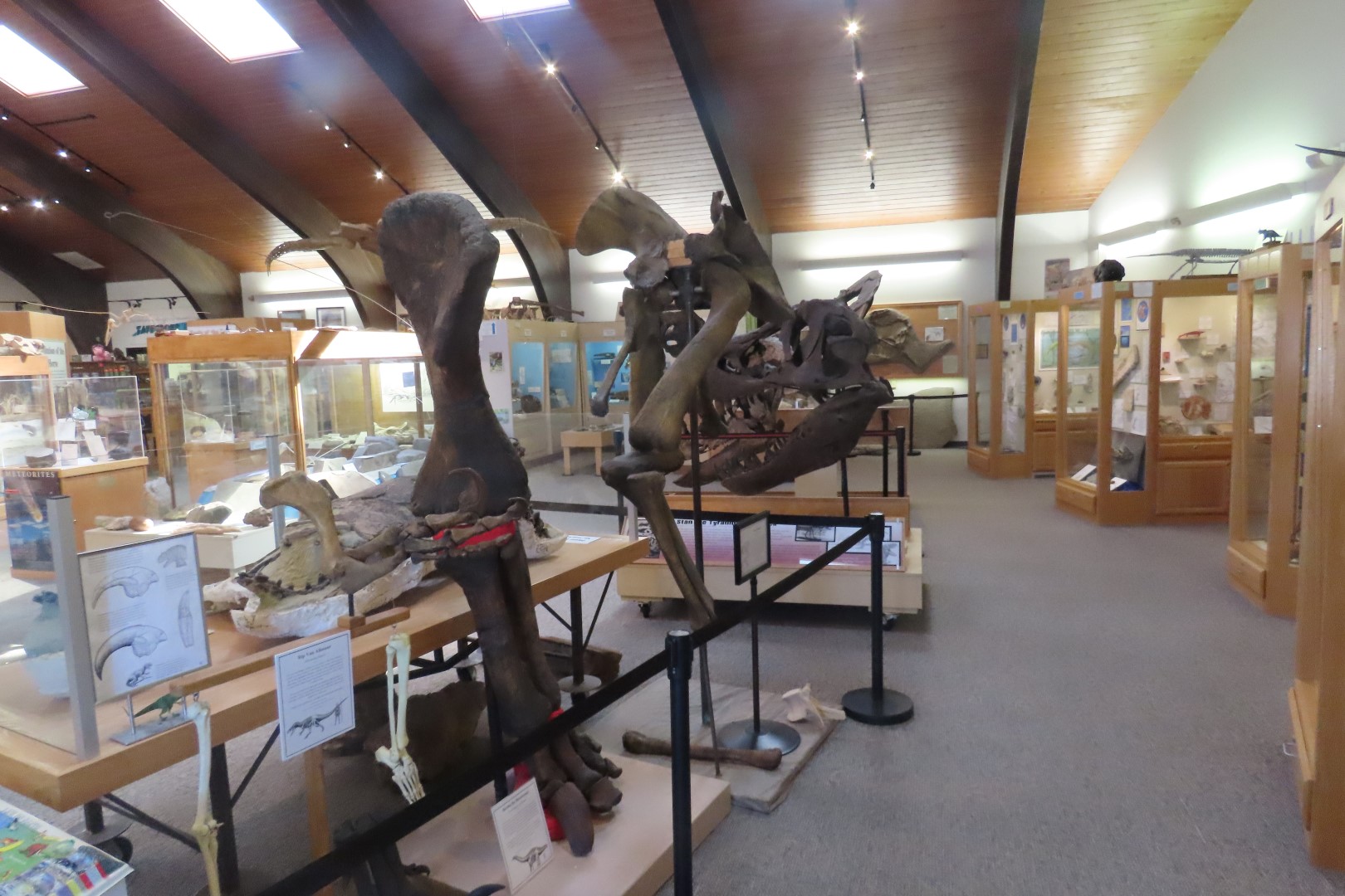  Tate Museum at Casper College in Casper 22 of 42 (#5435)