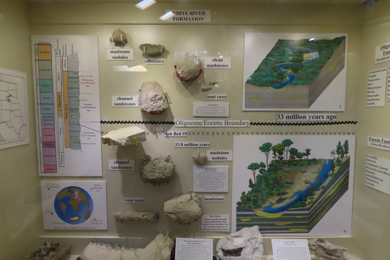  Tate Museum at Casper College in Casper 23 of 42 (#5436)