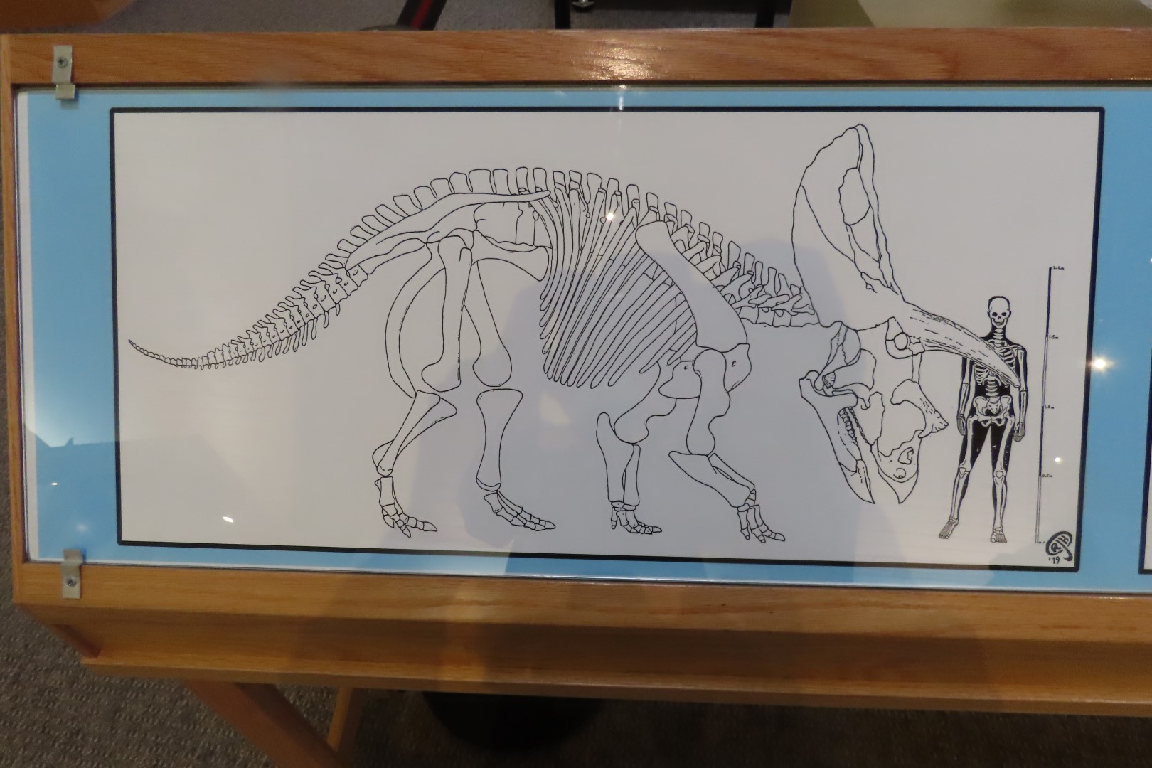  Tate Museum at Casper College in Casper 25 of 42 (#5438)