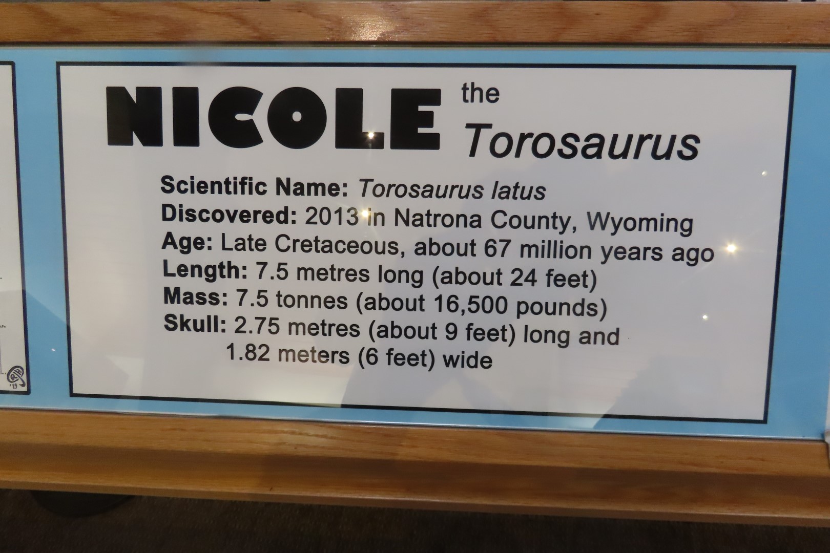  Tate Museum at Casper College in Casper 26 of 42 (#5439)