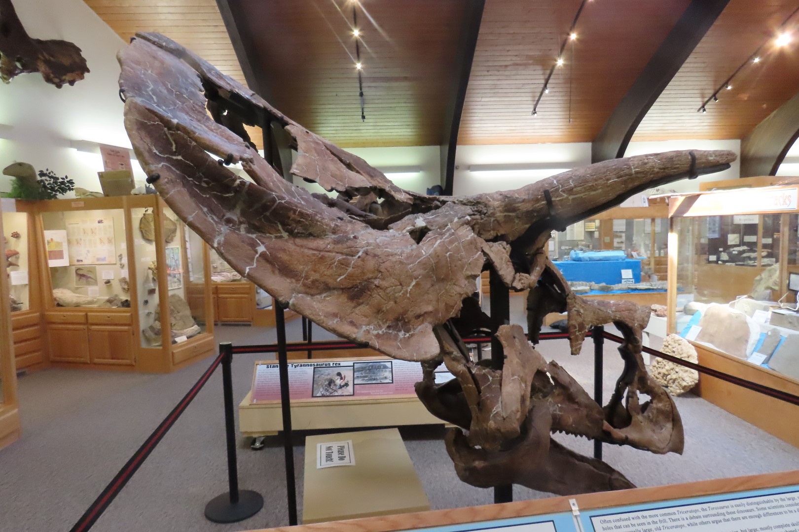  Tate Museum at Casper College in Casper 27 of 42 (#5440)