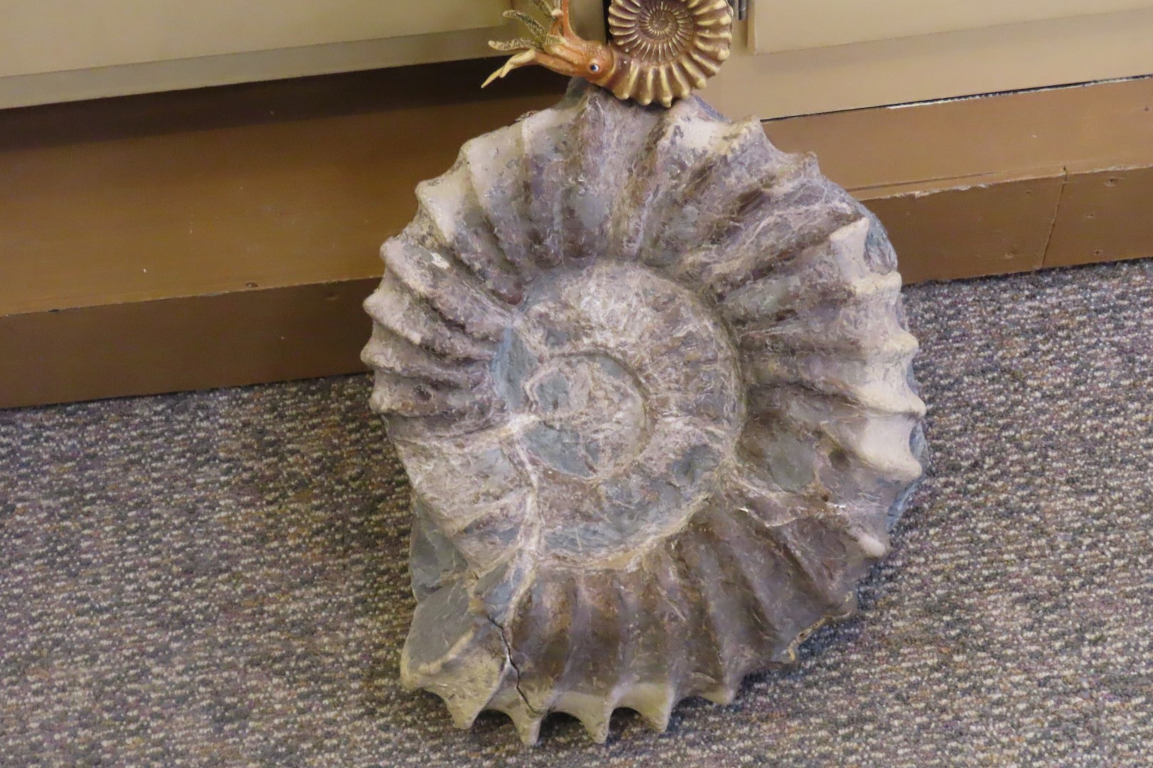  Tate Museum at Casper College in Casper 32 of 42 (#5445)