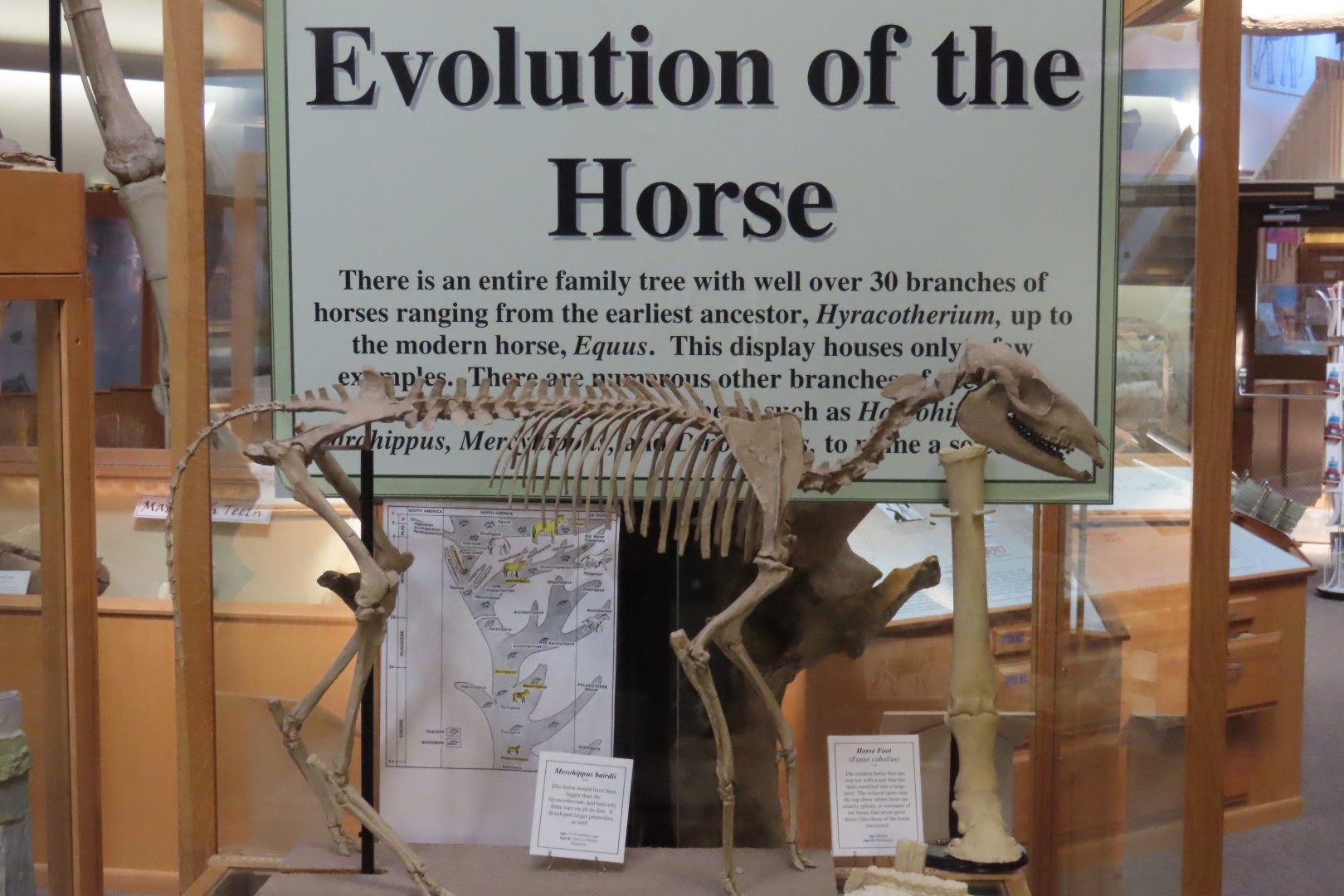  Tate Museum at Casper College in Casper 33 of 42 (#5446)