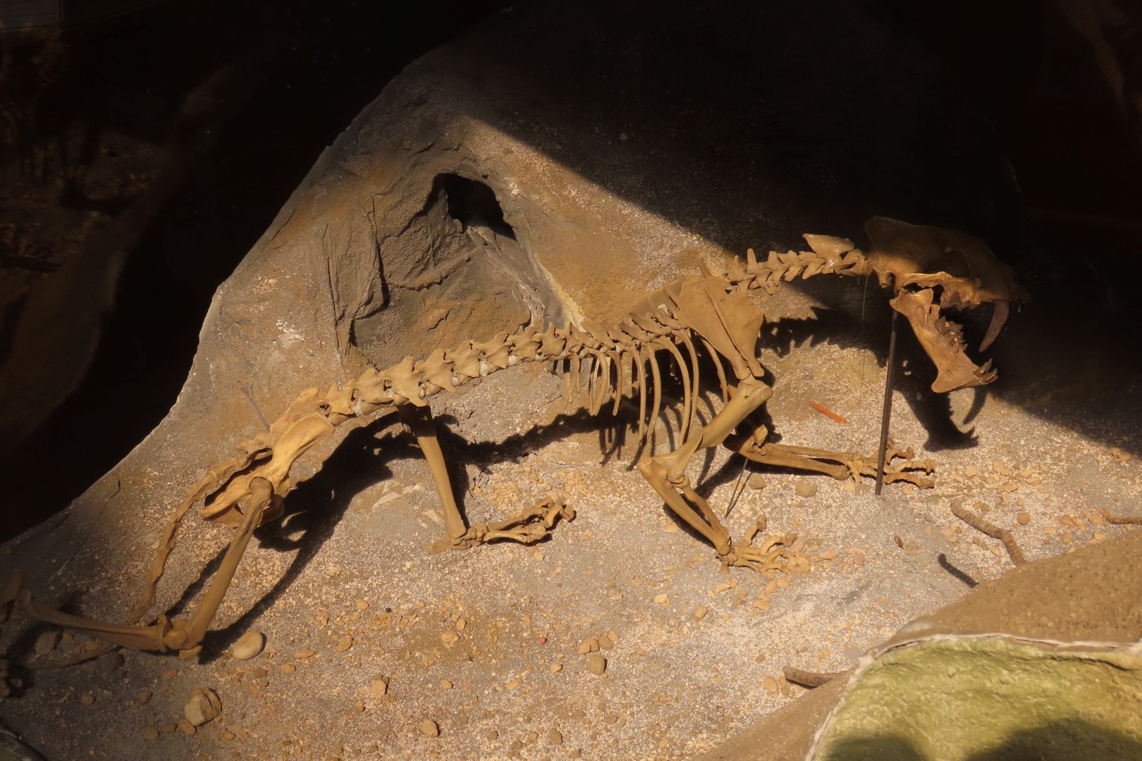  Tate Museum at Casper College in Casper 34 of 42 (#5447)