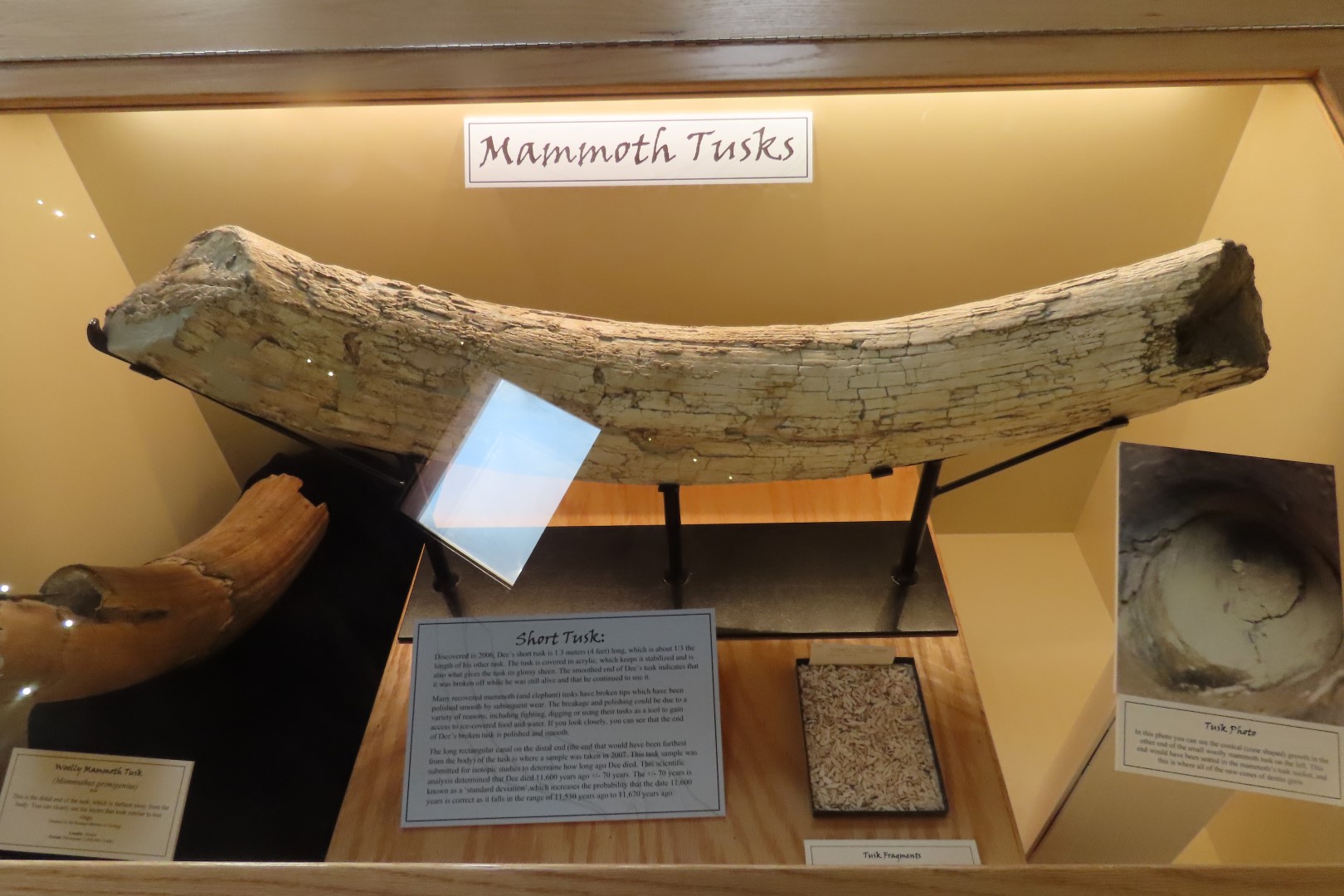  Tate Museum at Casper College in Casper 37 of 42 (#5450)