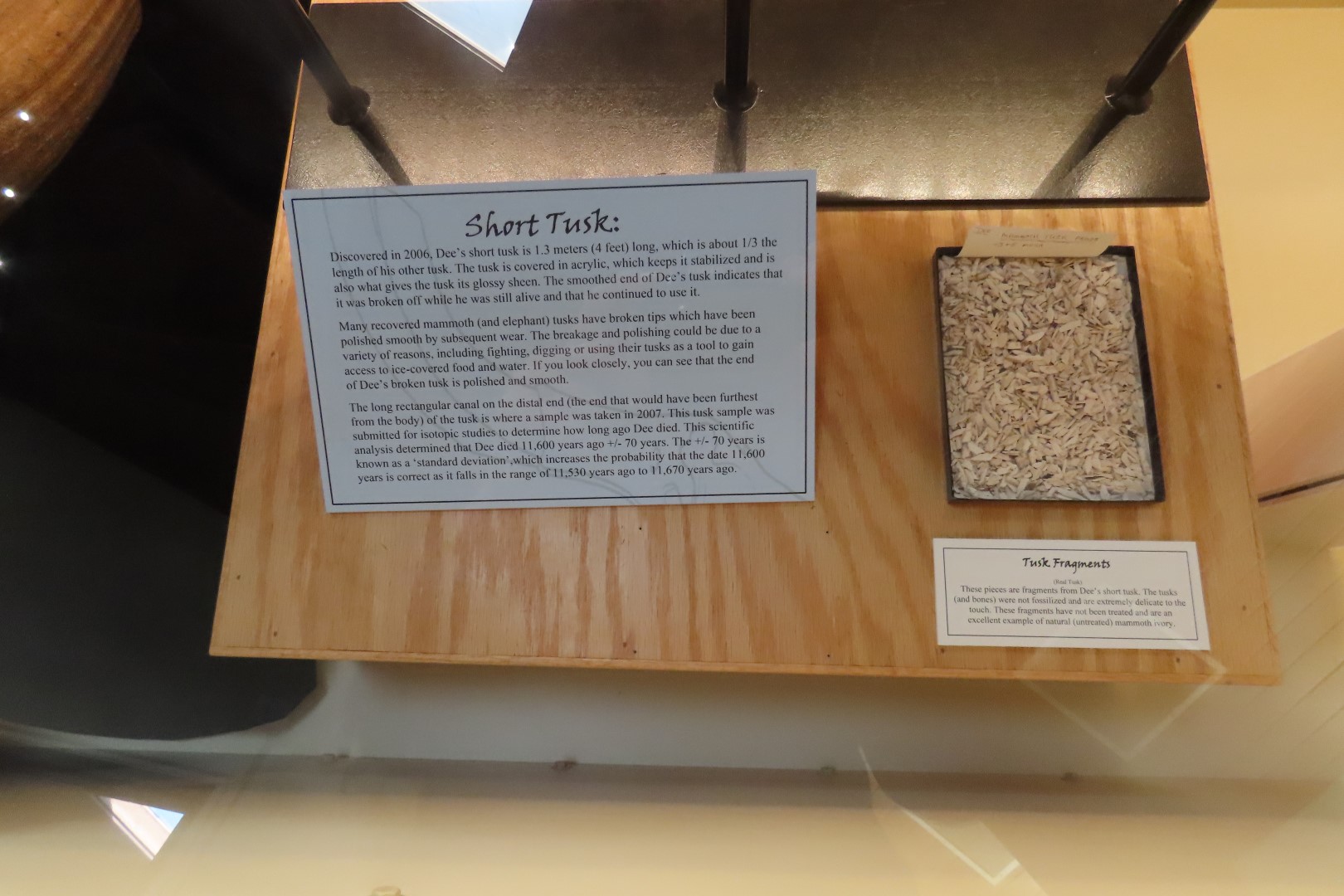  Tate Museum at Casper College in Casper 38 of 42 (#5451)