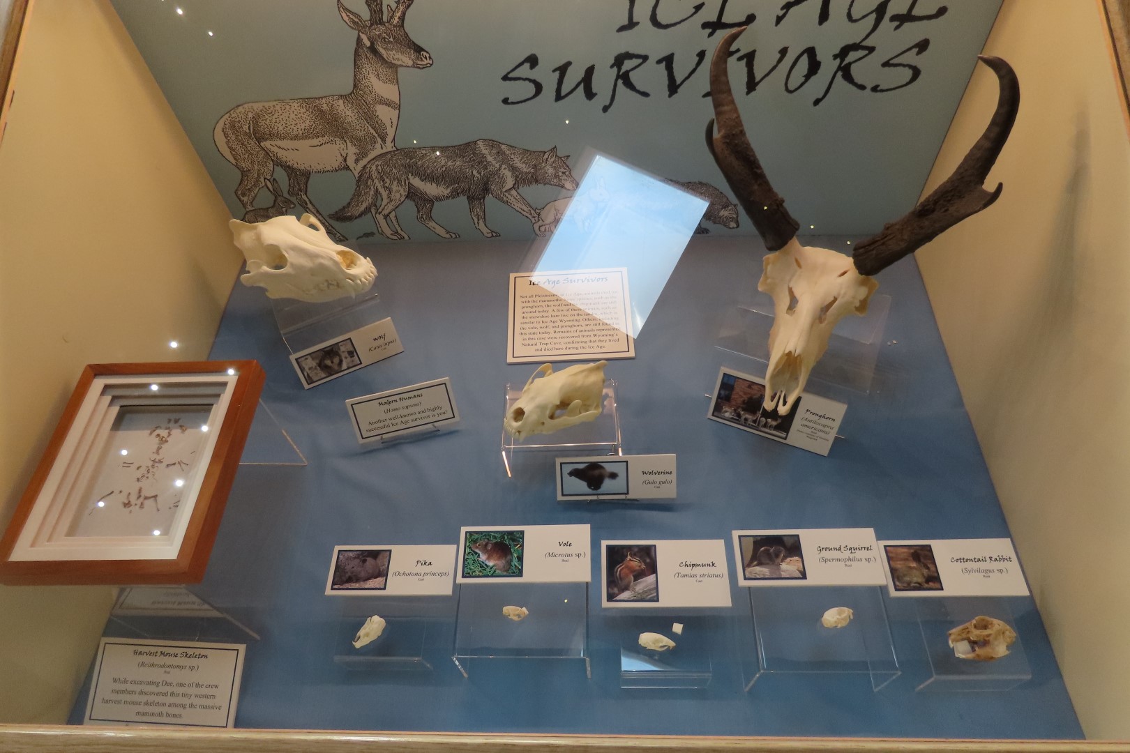  Tate Museum at Casper College in Casper 39 of 42 (#5452)