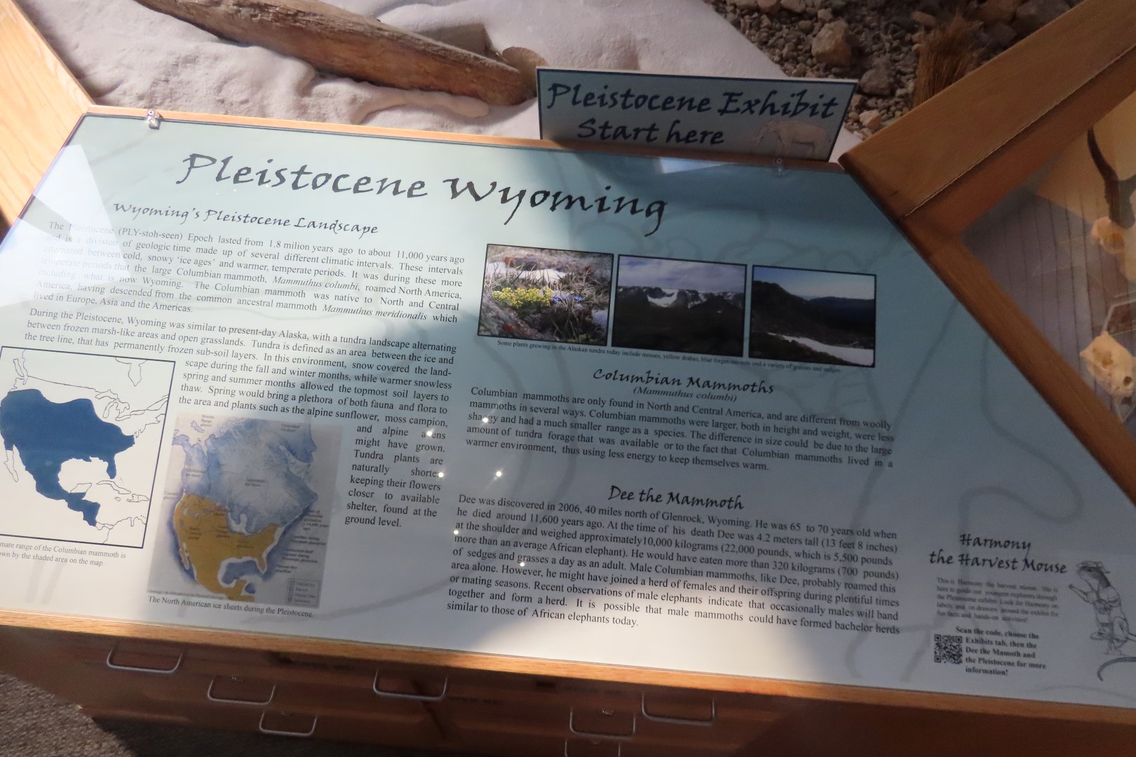  Tate Museum at Casper College in Casper 40 of 42 (#5453)