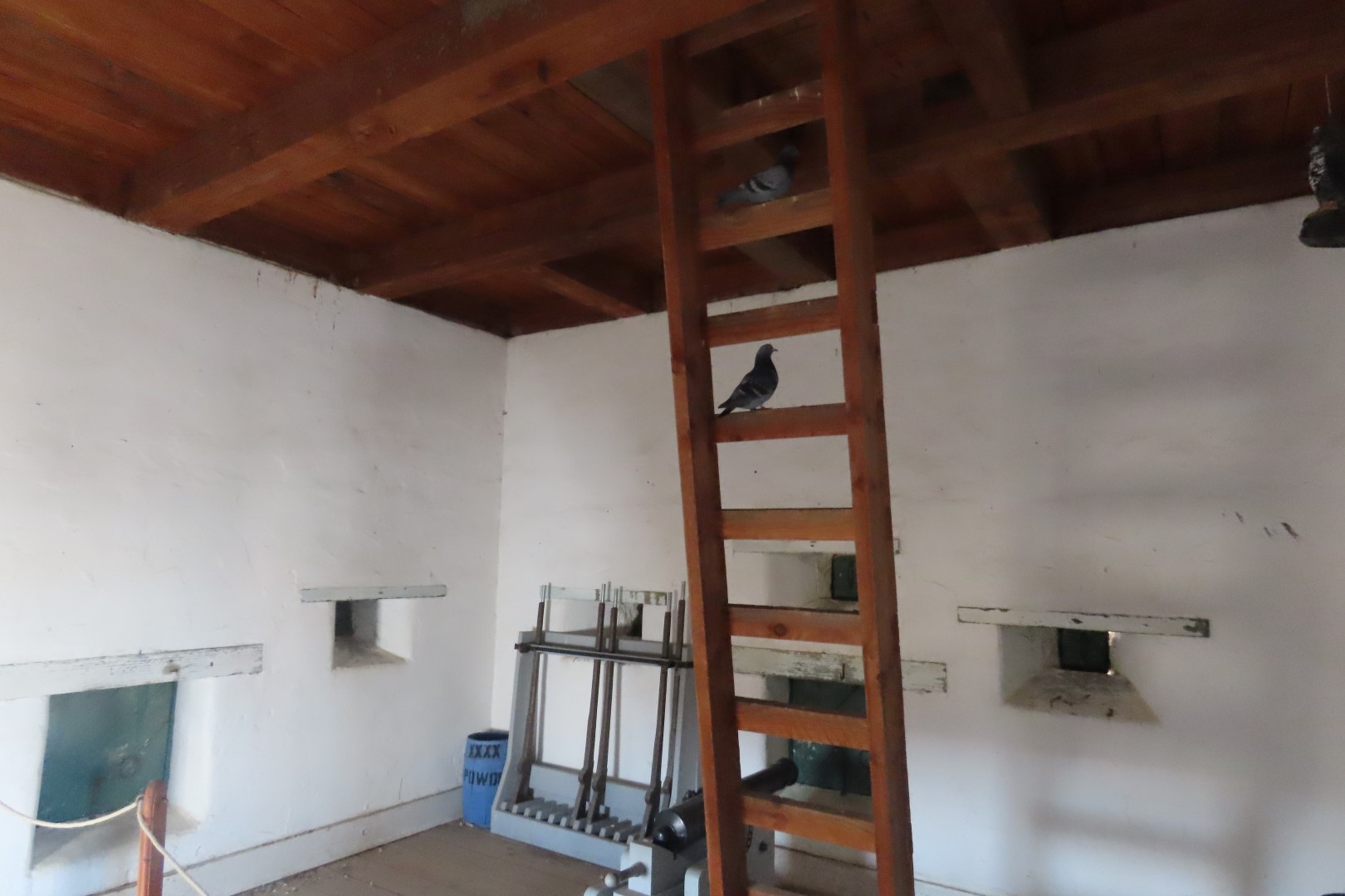 Fort Union Trading Post National Historic Site 32 of 36 (#5645)