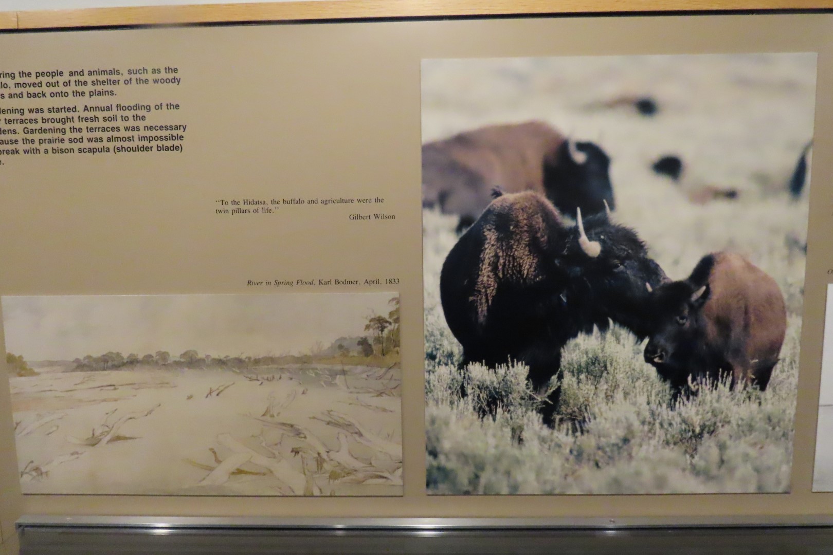 Knife River Indian Villages National Historic Site  7 of 40 (#5657)