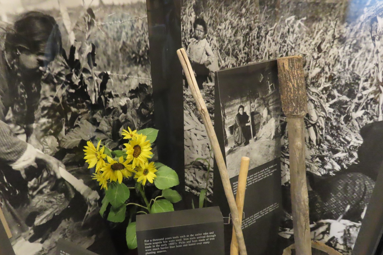 Knife River Indian Villages National Historic Site  9 of 40 (#5659)