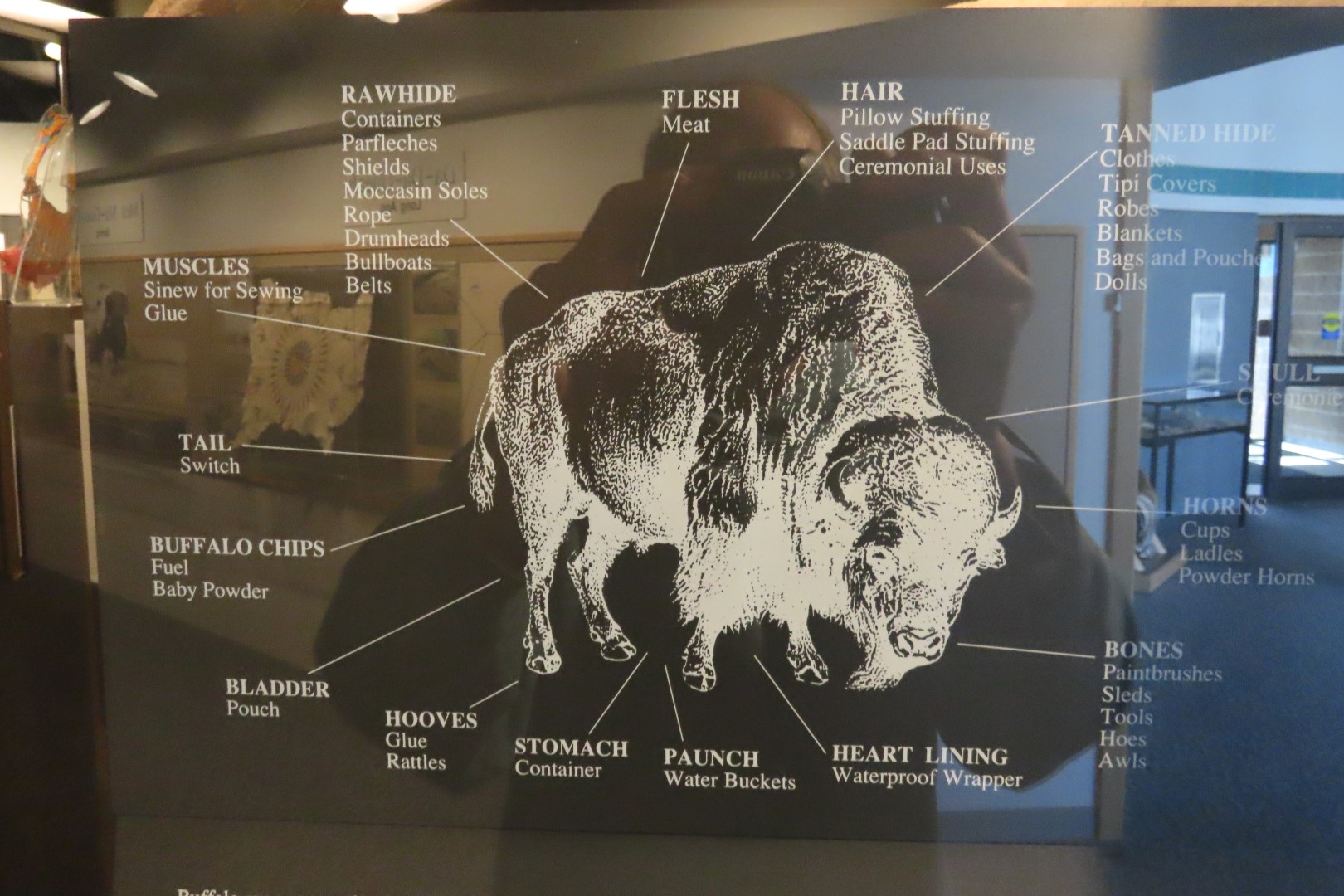 Knife River Indian Villages National Historic Site 31 of 40 (#5681)