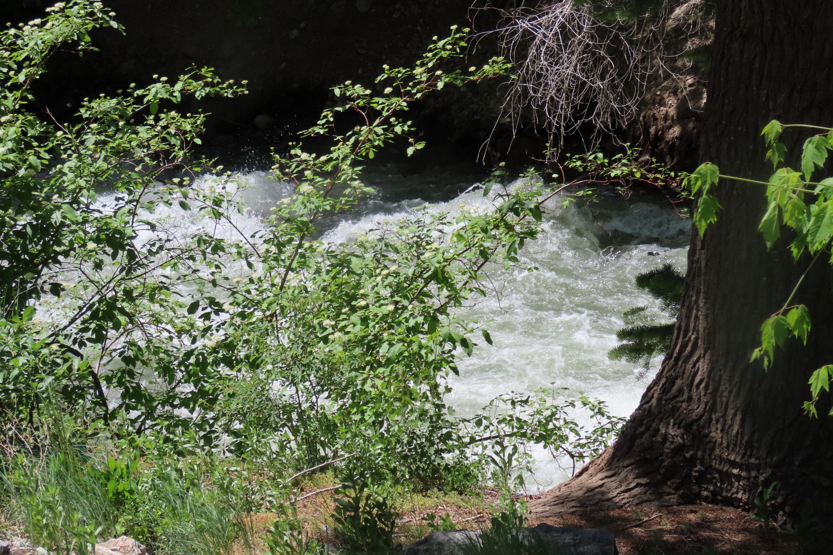 Timpanogos Cave National Monument in Utah 15 of 19 (#5824)