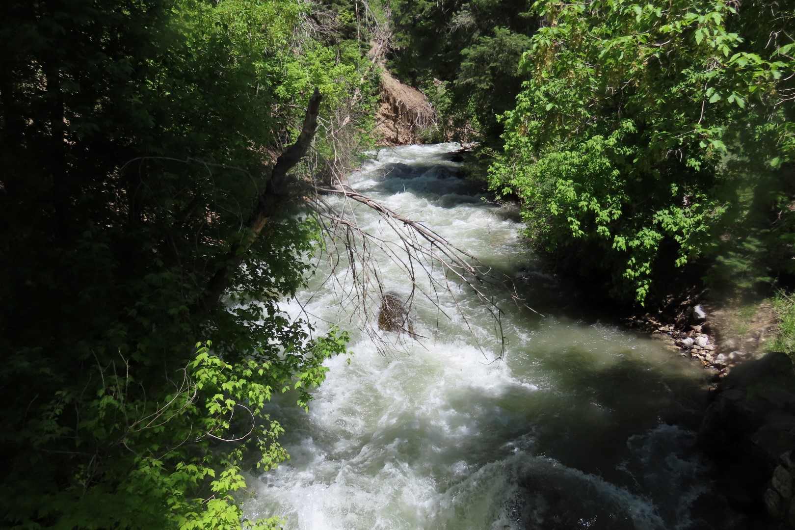 Timpanogos Cave National Monument in Utah 16 of 19 (#5825)