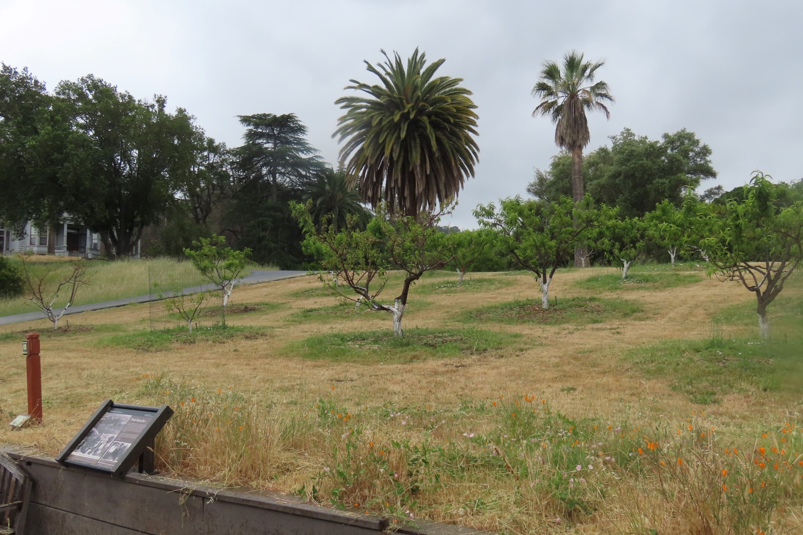 John Muir National Historic Site in California 10 of 16 (#5866)