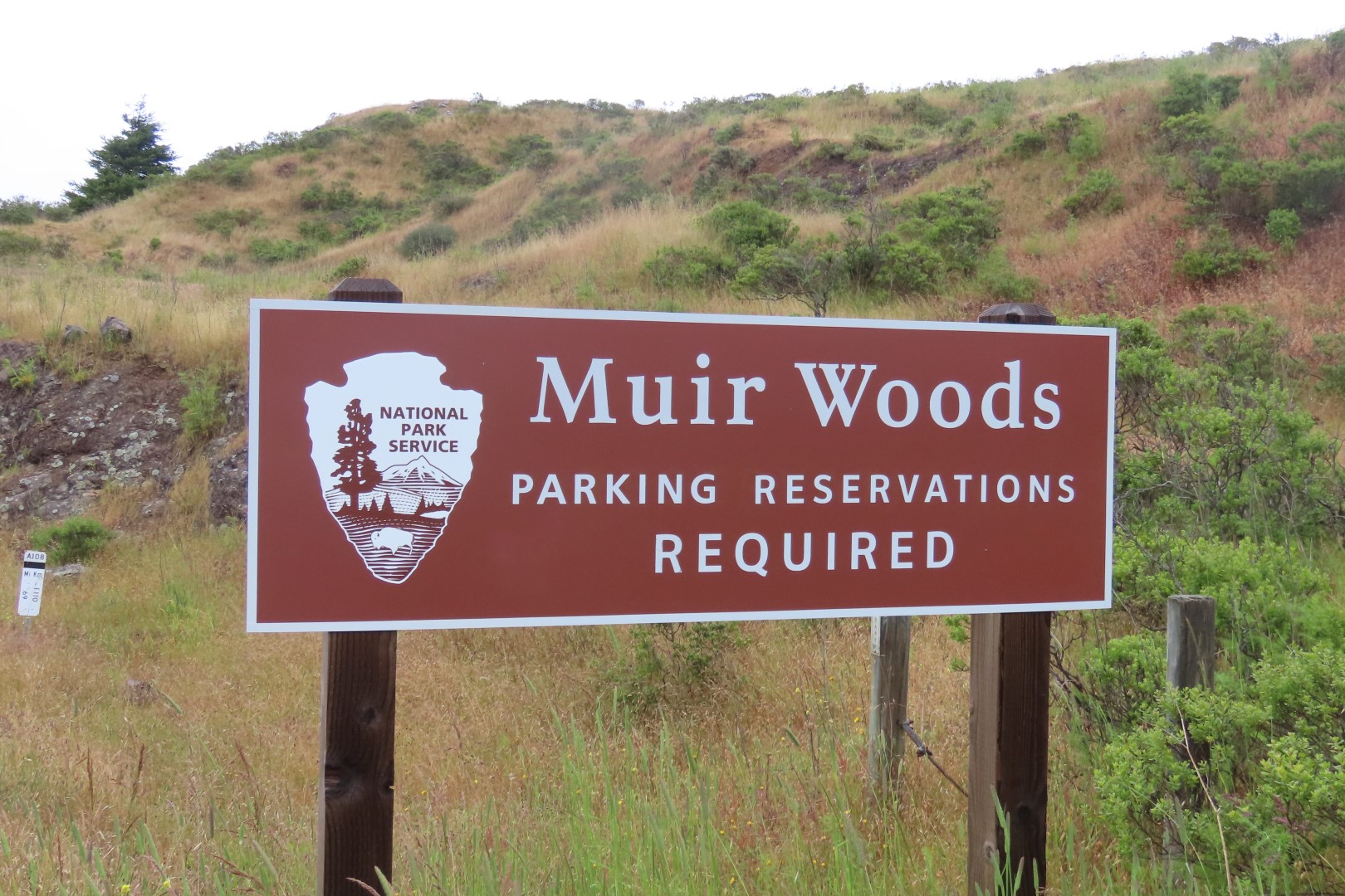 Muir Woods National Monument in California  1 of  5 (#5944)