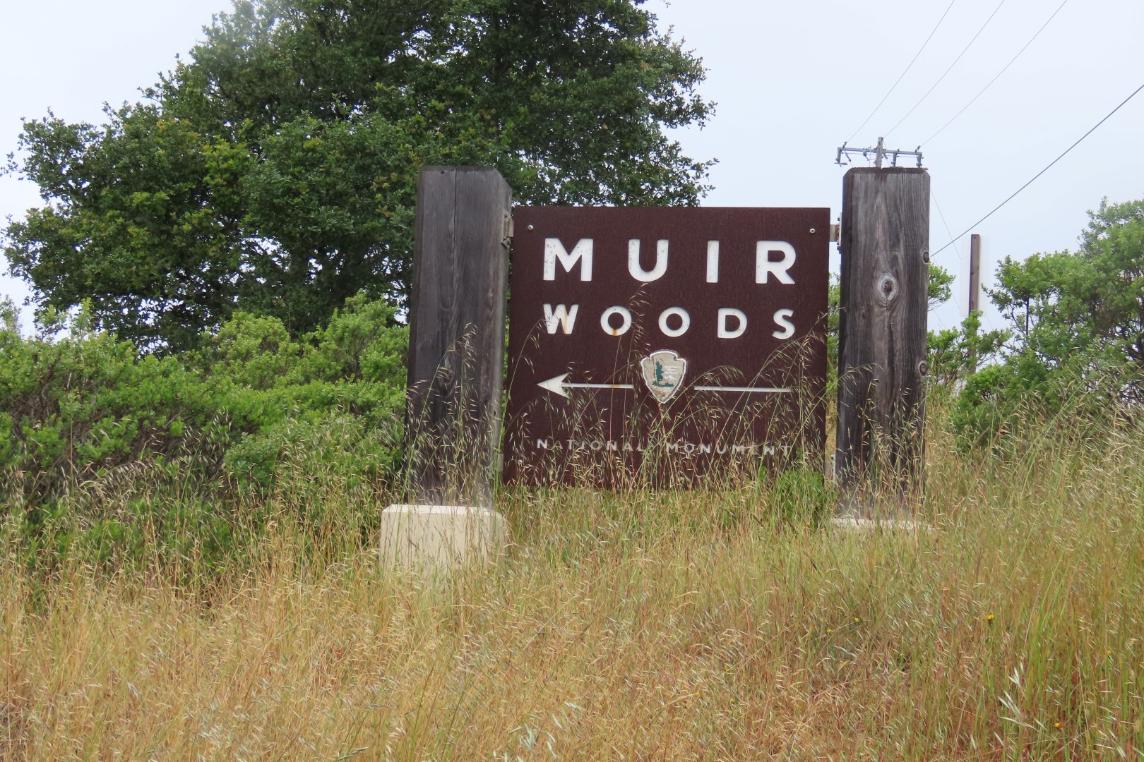 Muir Woods National Monument in California  2 of  5 (#5945)