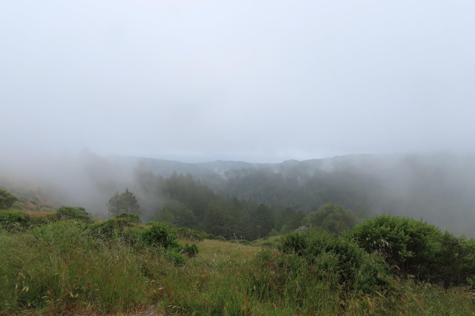 Muir Woods National Monument in California  3 of  5 (#5946)
