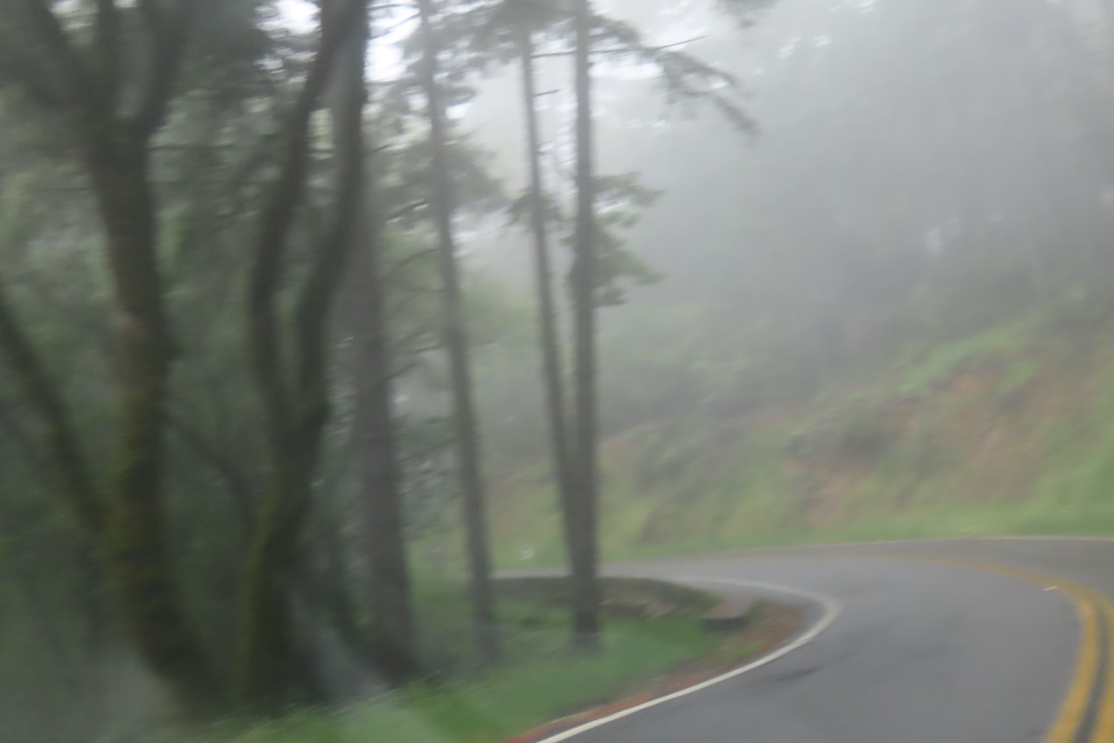 Muir Woods National Monument in California  4 of  5 (#5947)