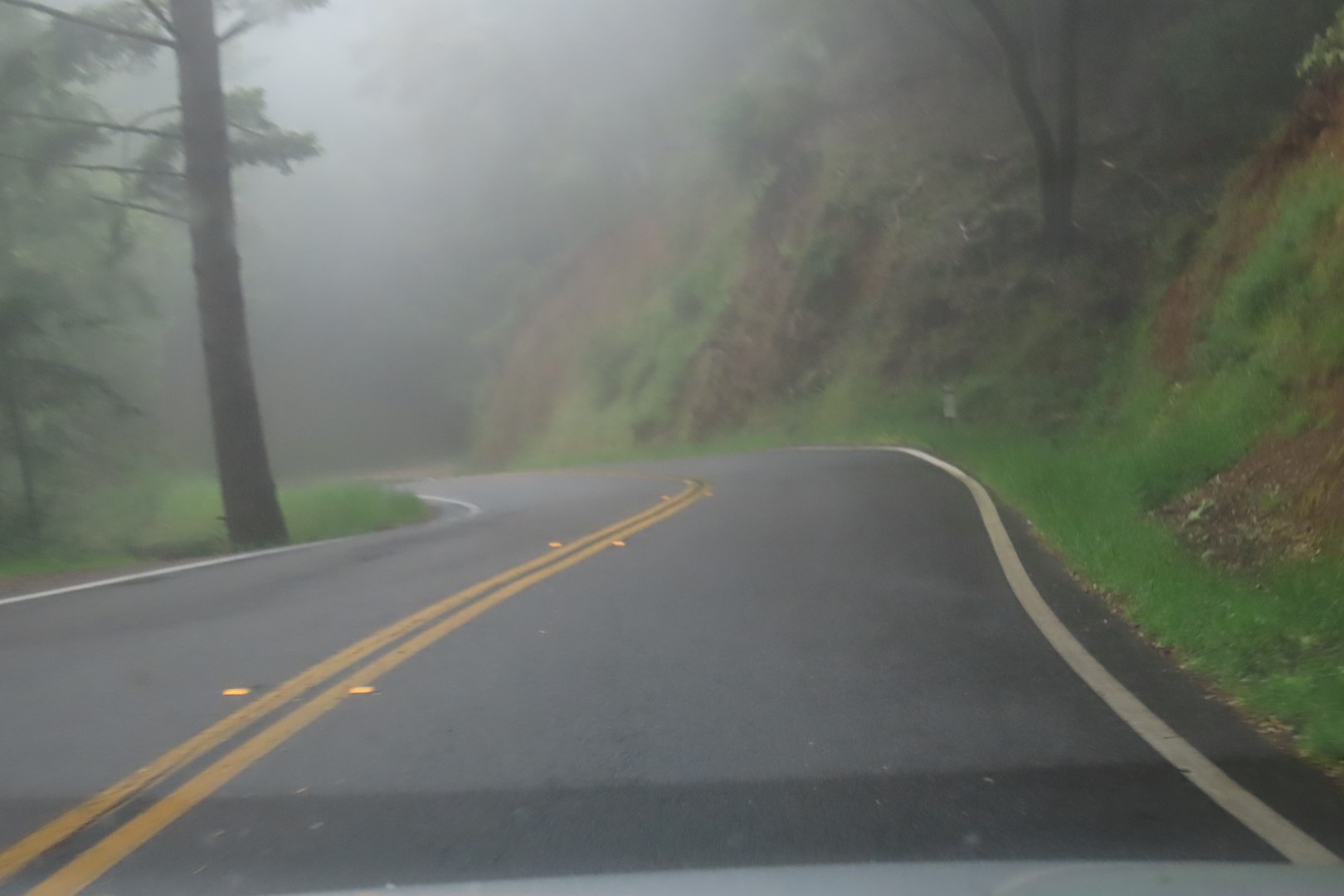 Muir Woods National Monument in California  5 of  5 (#5948)