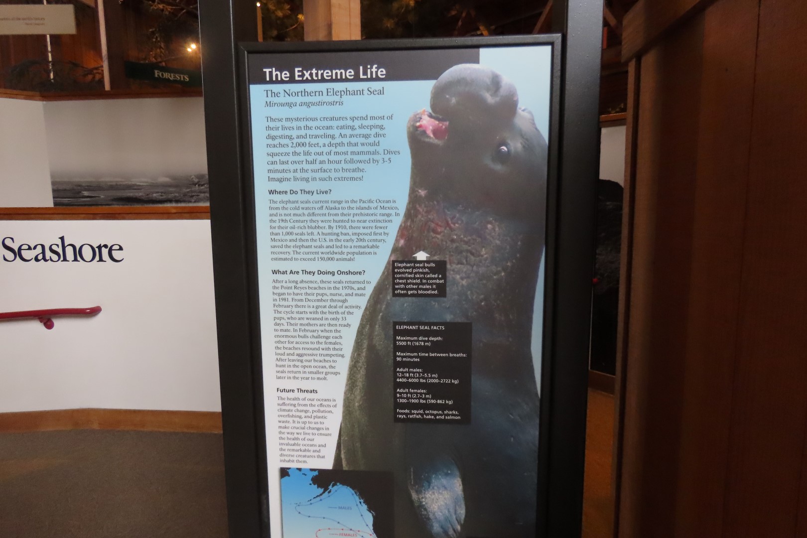 Point Reyes National Seashore in California  4 of 40 (#5958)