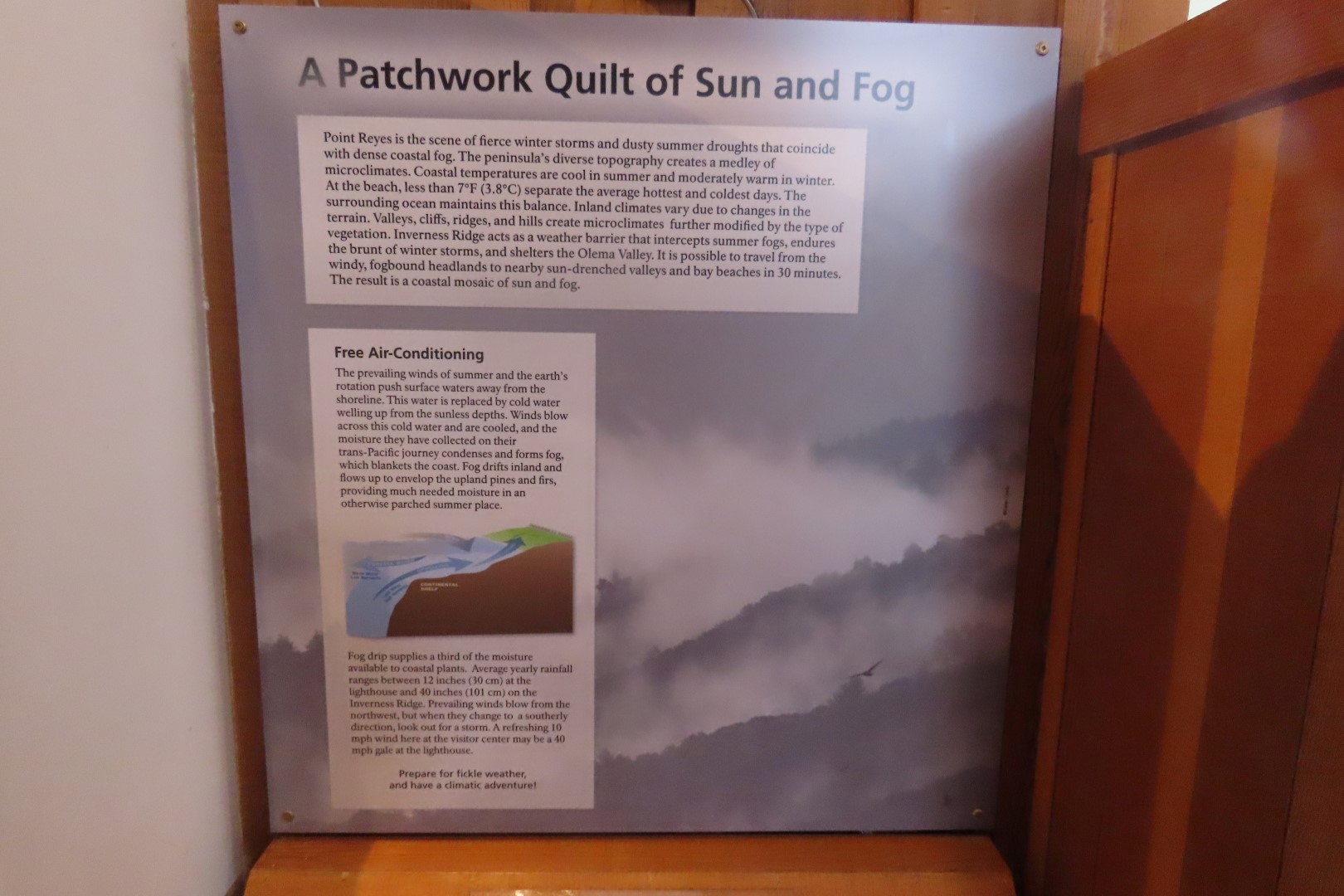 Point Reyes National Seashore in California  6 of 40 (#5960)