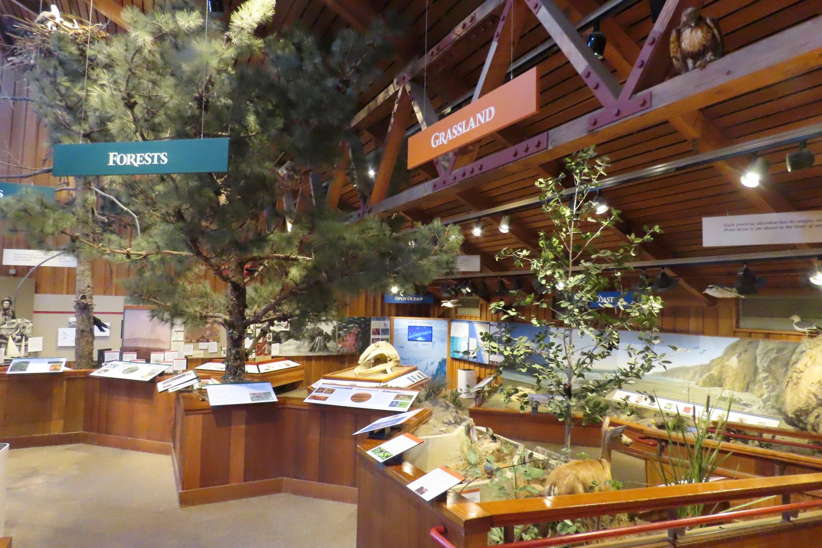 Point Reyes National Seashore in California  7 of 40 (#5961)