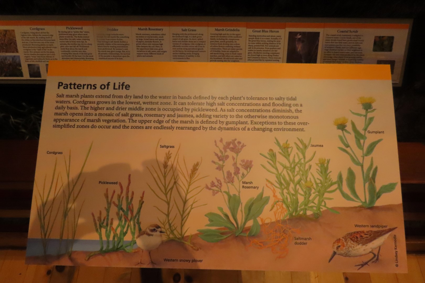 Point Reyes National Seashore in California  8 of 40 (#5962)