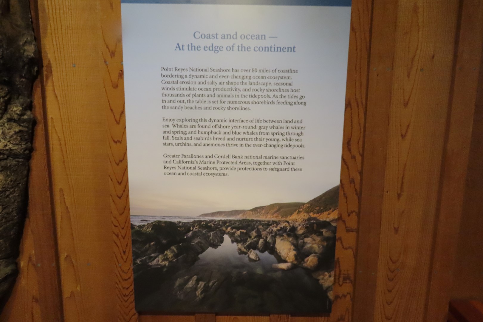 Point Reyes National Seashore in California 10 of 40 (#5964)