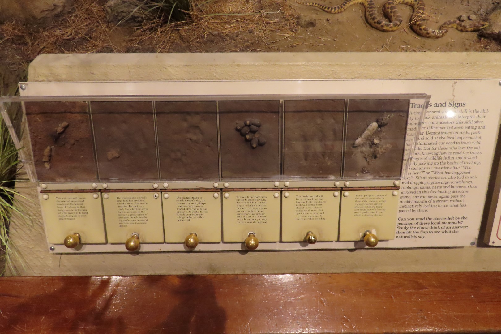 Point Reyes National Seashore in California 12 of 40 (#5966)