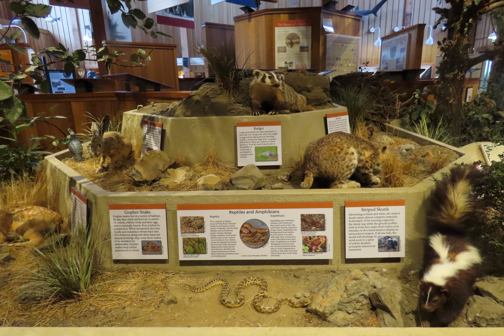 Point Reyes National Seashore in California 13 of 40 (#5967)