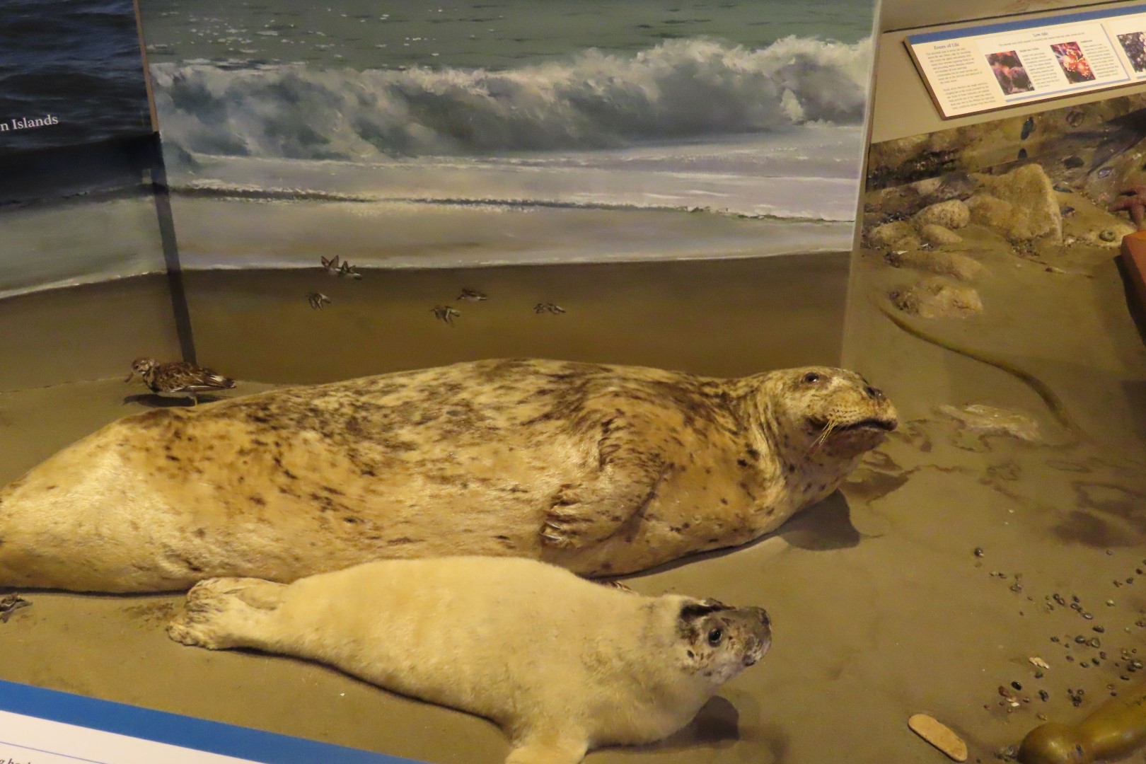 Point Reyes National Seashore in California 14 of 40 (#5968)