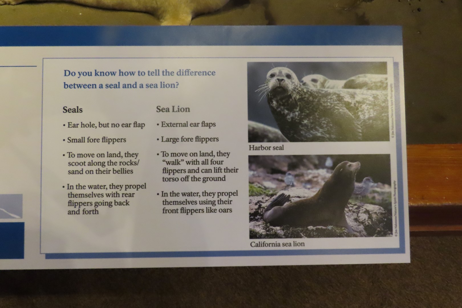 Point Reyes National Seashore in California 15 of 40 (#5969)