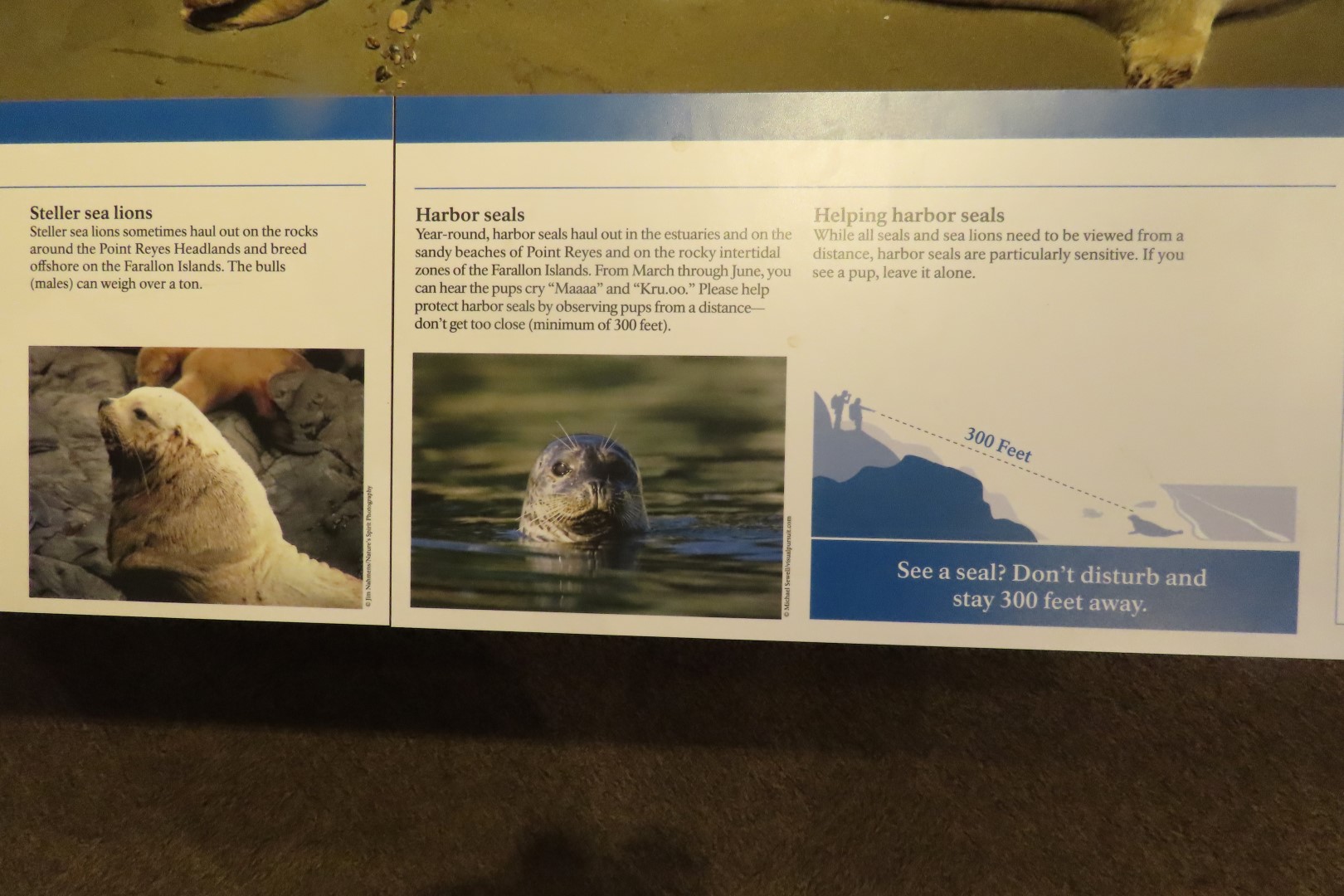 Point Reyes National Seashore in California 17 of 40 (#5971)