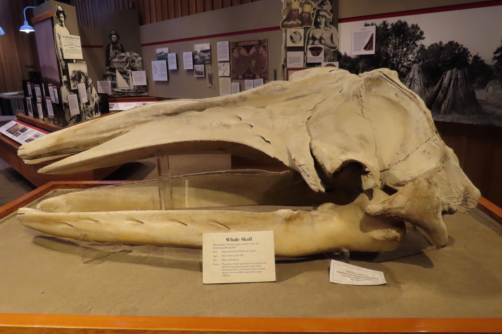 Point Reyes National Seashore in California 18 of 40 (#5972)