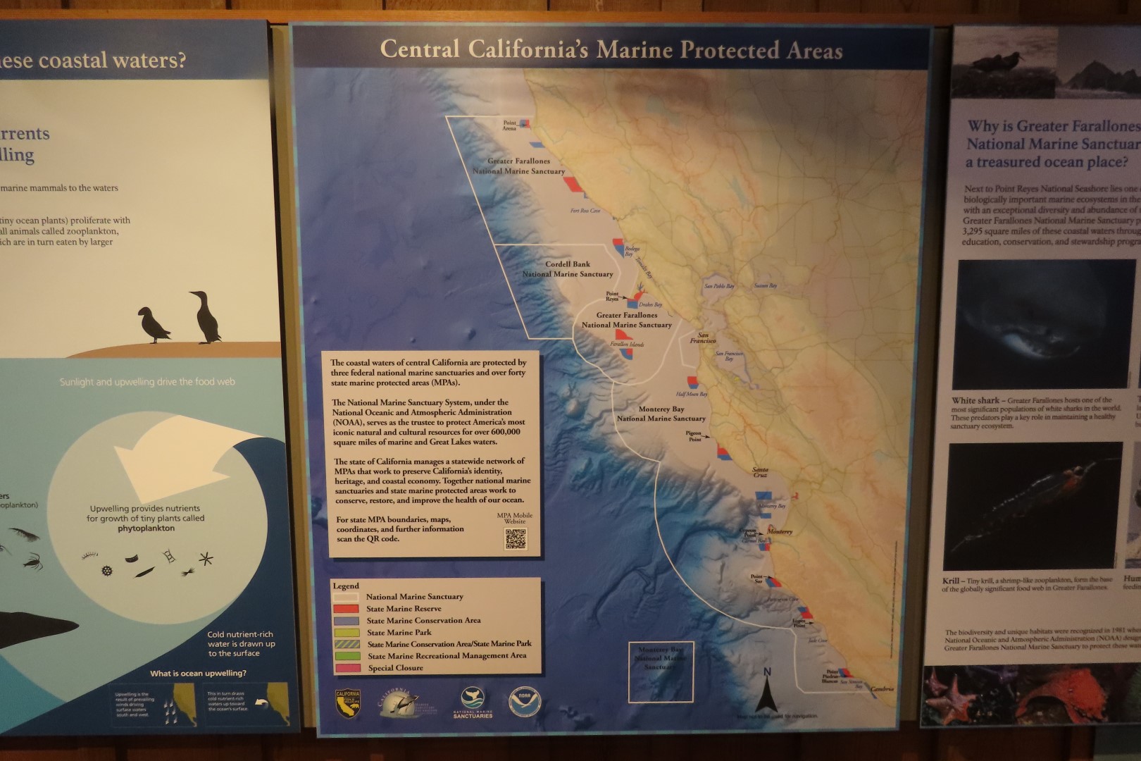 Point Reyes National Seashore in California 19 of 40 (#5973)