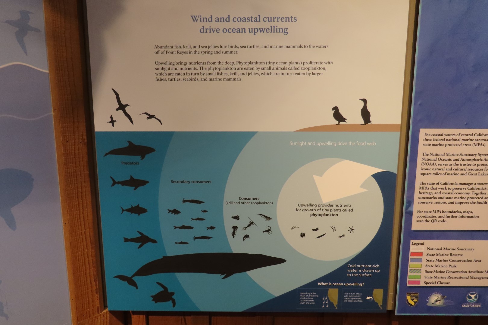 Point Reyes National Seashore in California 20 of 40 (#5974)