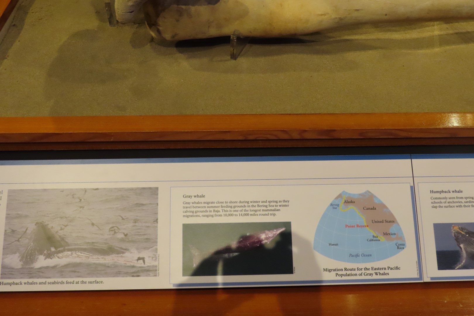 Point Reyes National Seashore in California 21 of 40 (#5975)