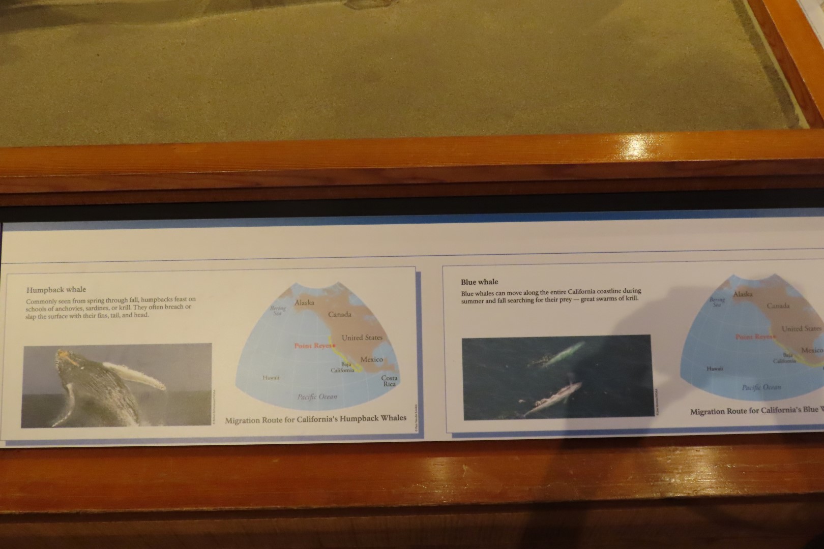 Point Reyes National Seashore in California 22 of 40 (#5976)